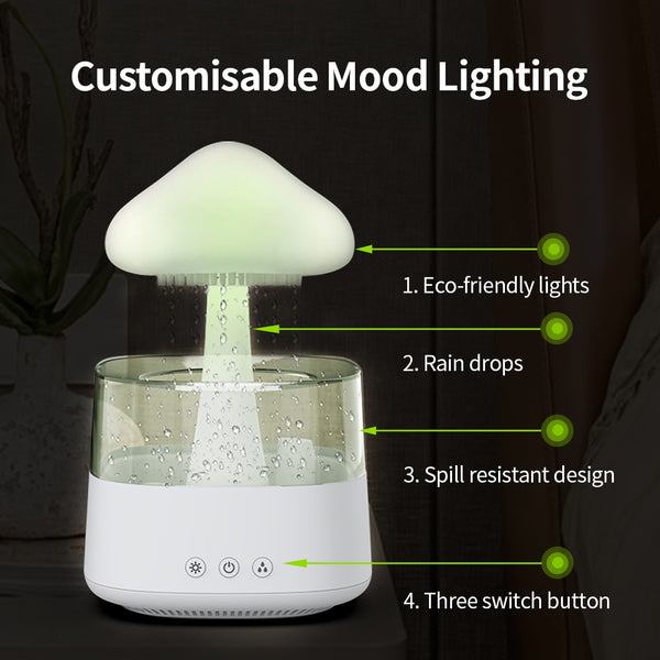 Rain Cloud Humidifier