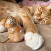Pet DIY Keychain