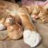 files/Sa27dda41870442dfb8566e2e35809d6bC.webp