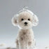 files/Sac3bca90a6c24a59a336af3bc400485dX.webp