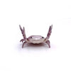 Stationery Crab Holder