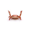 Stationery Crab Holder