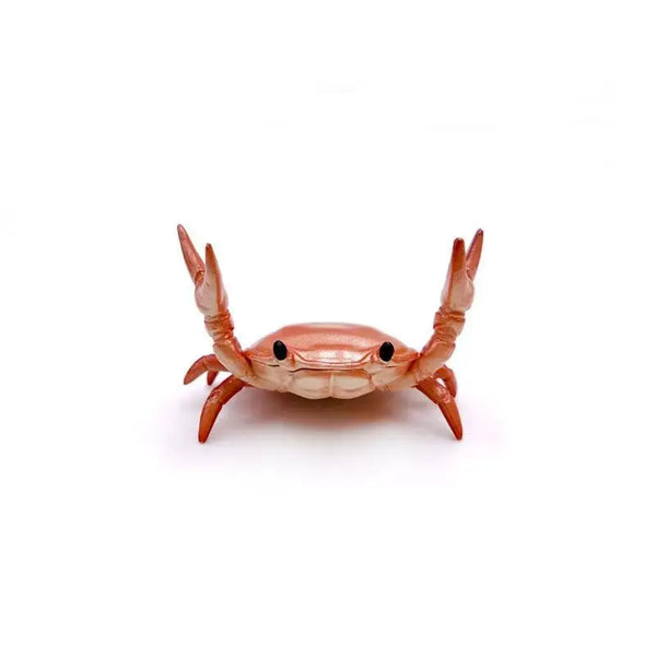 Stationery Crab Holder
