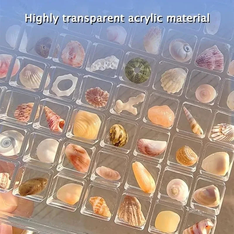 Soft Shell Display Case ORIGINAL DESIGN - Acrylic Magnetic Seashell Display Box | StarkTrends