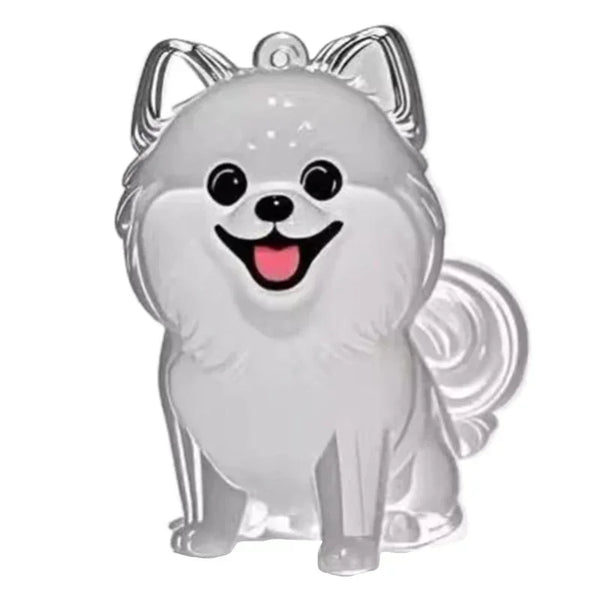 Pet DIY Keychain