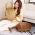 products/S46d35313422842ecaa12ff673900aad9p.jpg