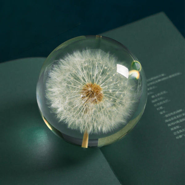 Real Dried Dandelion Crystal Glass Resin Lens Ball