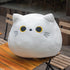 products/S8cabb57c99034e068a94d3a96305bcbbG.jpg