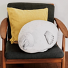 Chonky Seal Plush Pillow