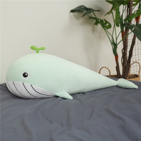 Cuddly Giant Whale