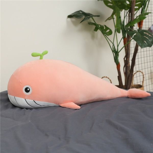 Cuddly Giant Whale