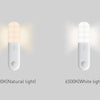 LED Motion Sensor Light