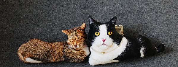 Realistic Cat Cushion